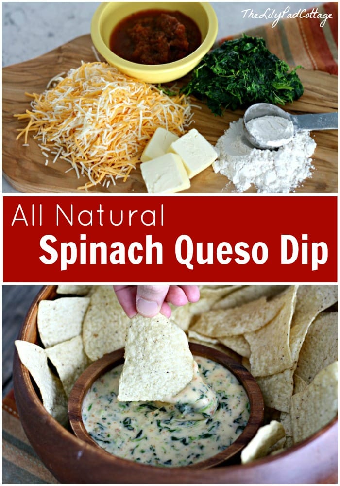 All Natural Queso Dip