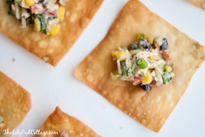 Southwestern Egg Roll Dip