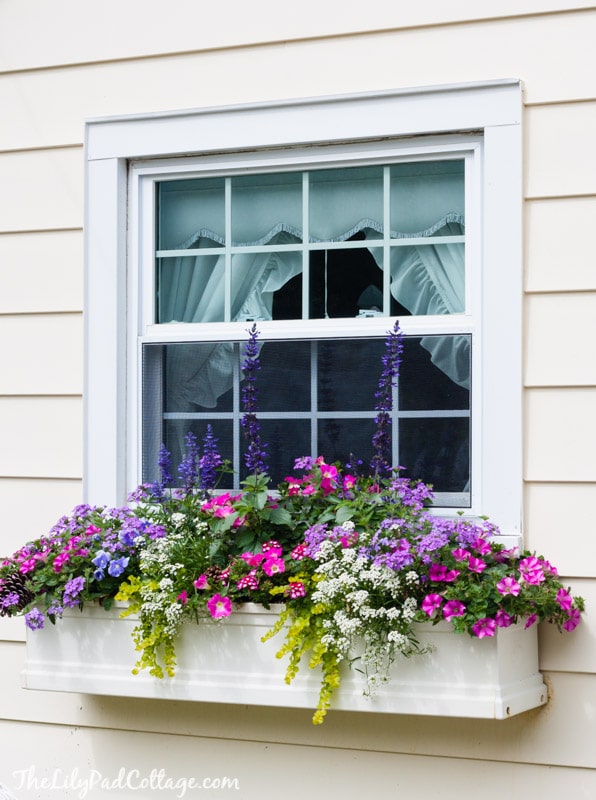A window box filled with flowers