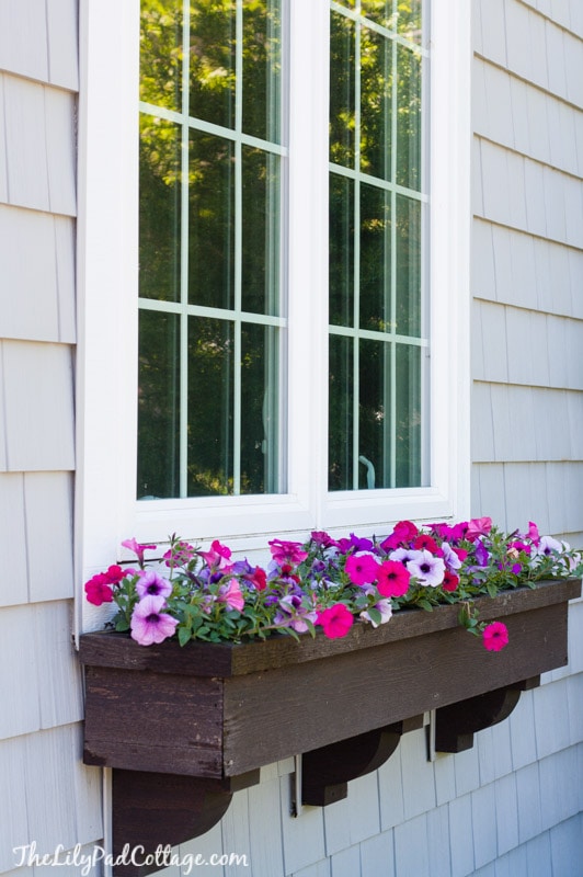 Window box filled with flowers