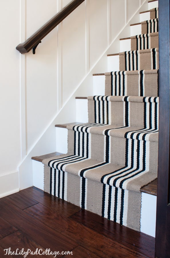 A staircase with carpet 