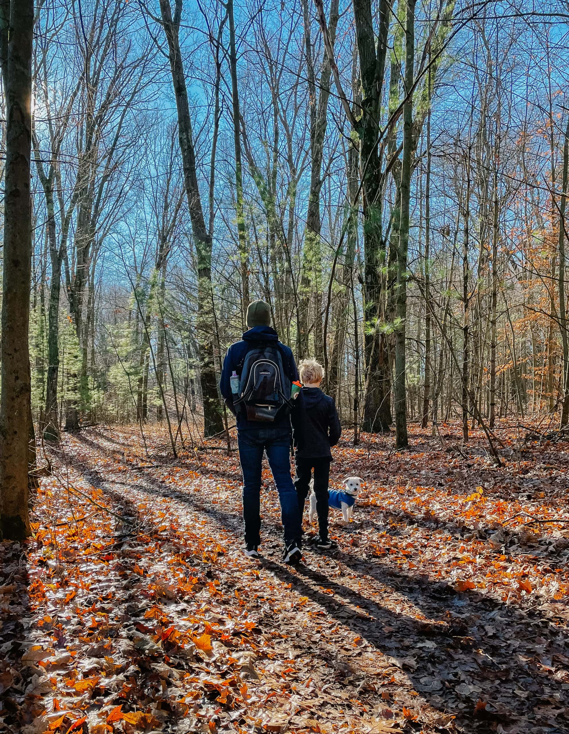 A man standing next to a forest