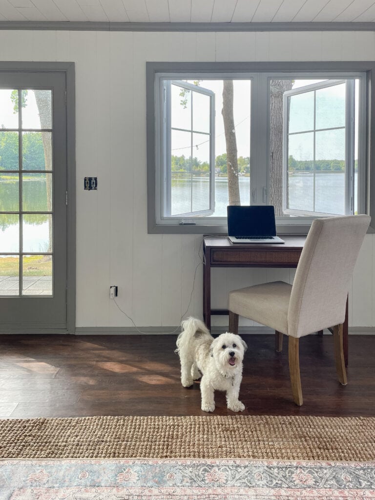 guest cottage office desk with dog
