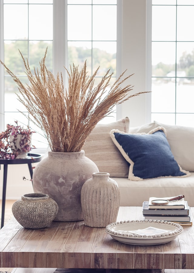 Neutral Fall Throw Pillows