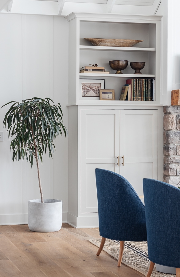 gray bookshelves with blue accent chairs and alii ficus plant